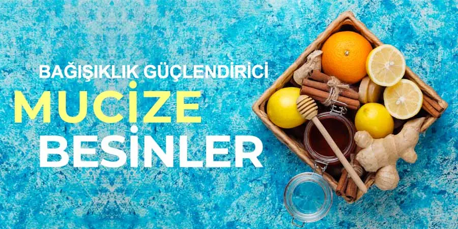 Bağışıklığı destekleyen besinler